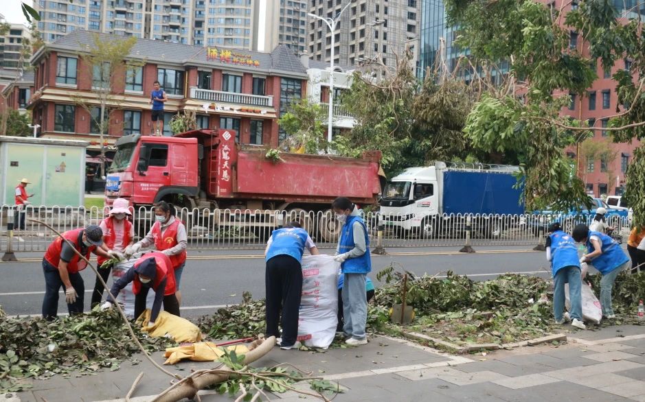 “摩羯”过后，全力以“复”！小海狮在行动
