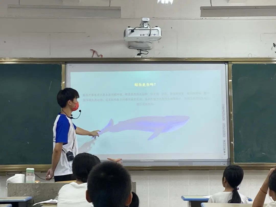 榕籽之声 