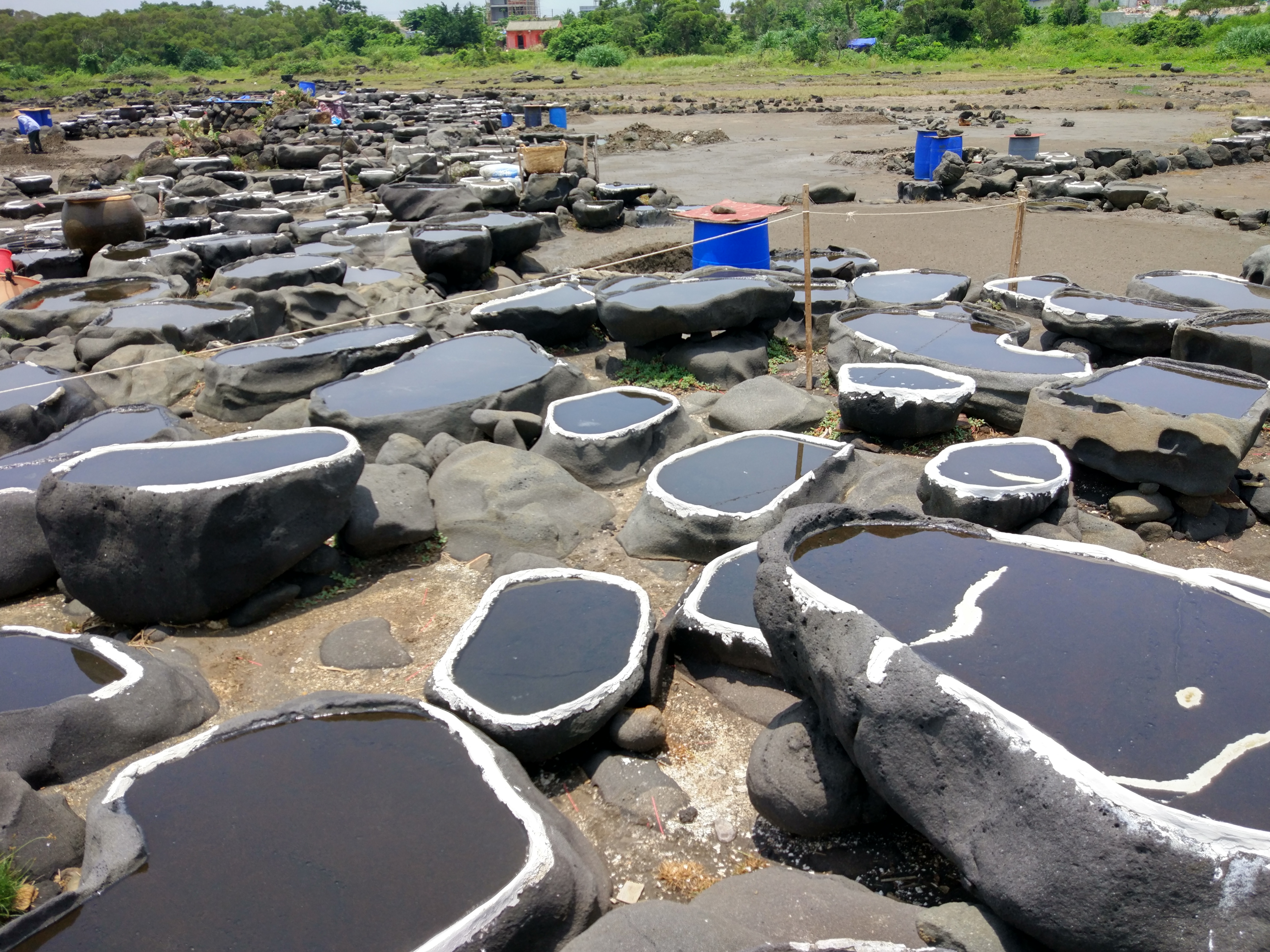 青年之声·我校新闻学子赴儋州开展海南乡村旅游文化节直播活动